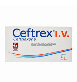 Ceftrex I.V.